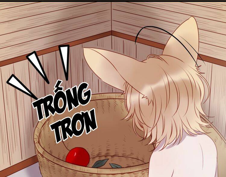 lượm được 1 tiểu hồ ly chapter 61 29