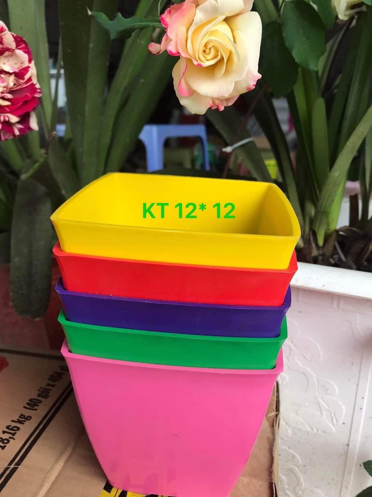 Chậu nhựa vuông V12 trồng hoa cây cảnh văn phòng hàng loại 1 KT 12x12x10cm