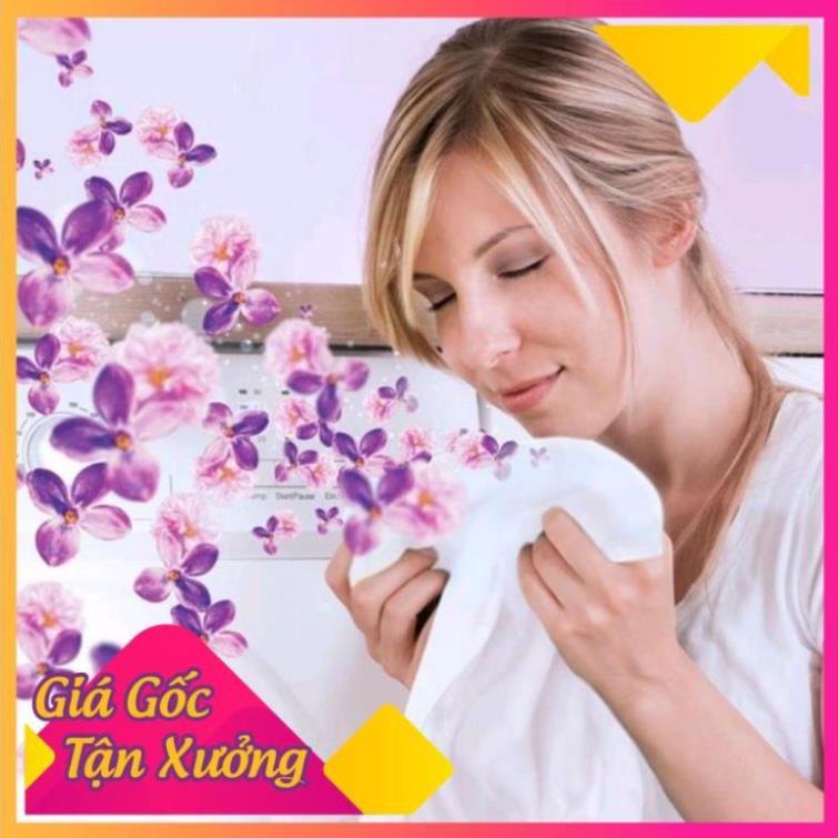 Xả vải khô Thai Plus