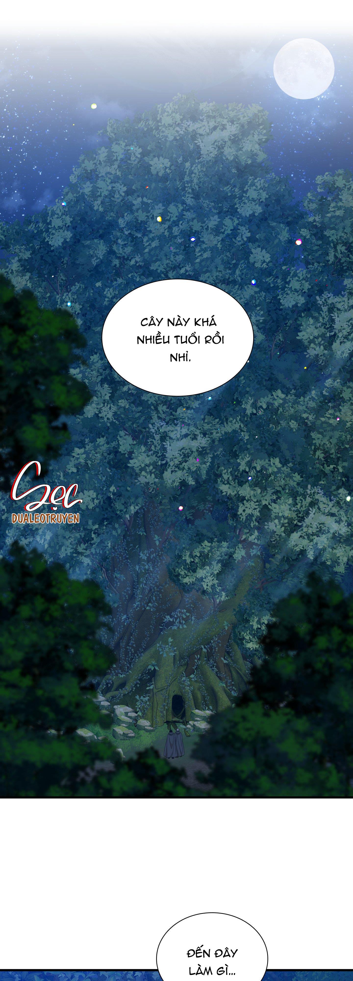 smyrna và capri chapter 31 21