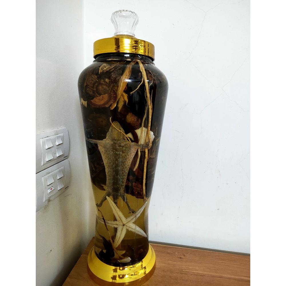 Bình ngâm sâm thủy tinh có công dụng để ngâm nhân sâm, nấm linh chi, cá ngựa