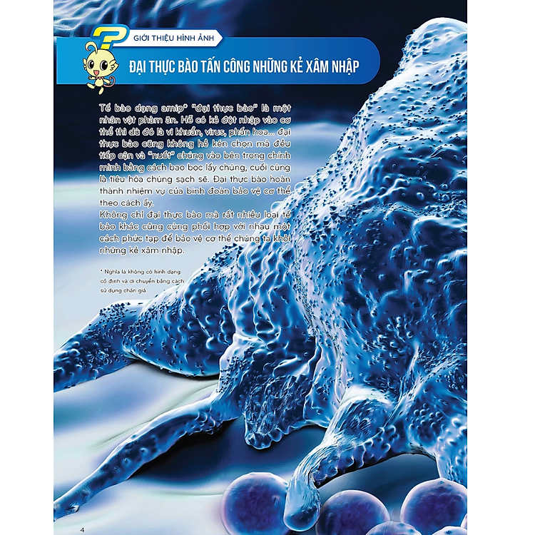 Sách Nhiệm Vụ Khoa Học Kỳ Bí