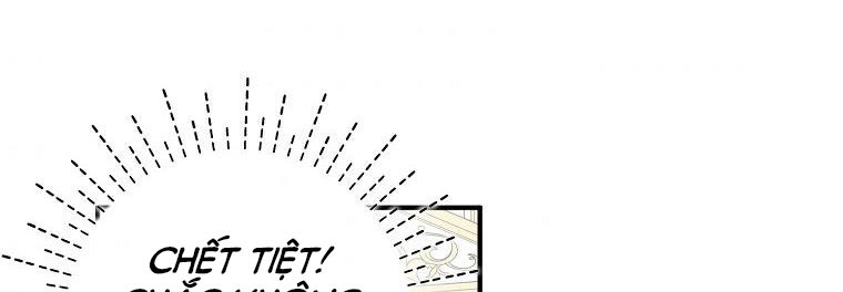 tôi sẽ cố gắng bảo vệ em gái chapter 28.1 491