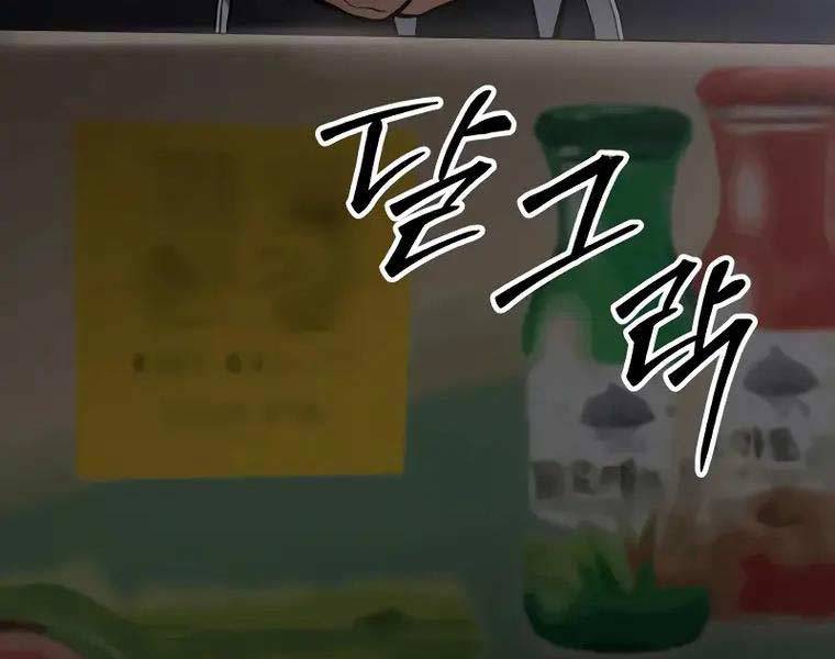 đặc vụ song sinh chapter 62.5 211