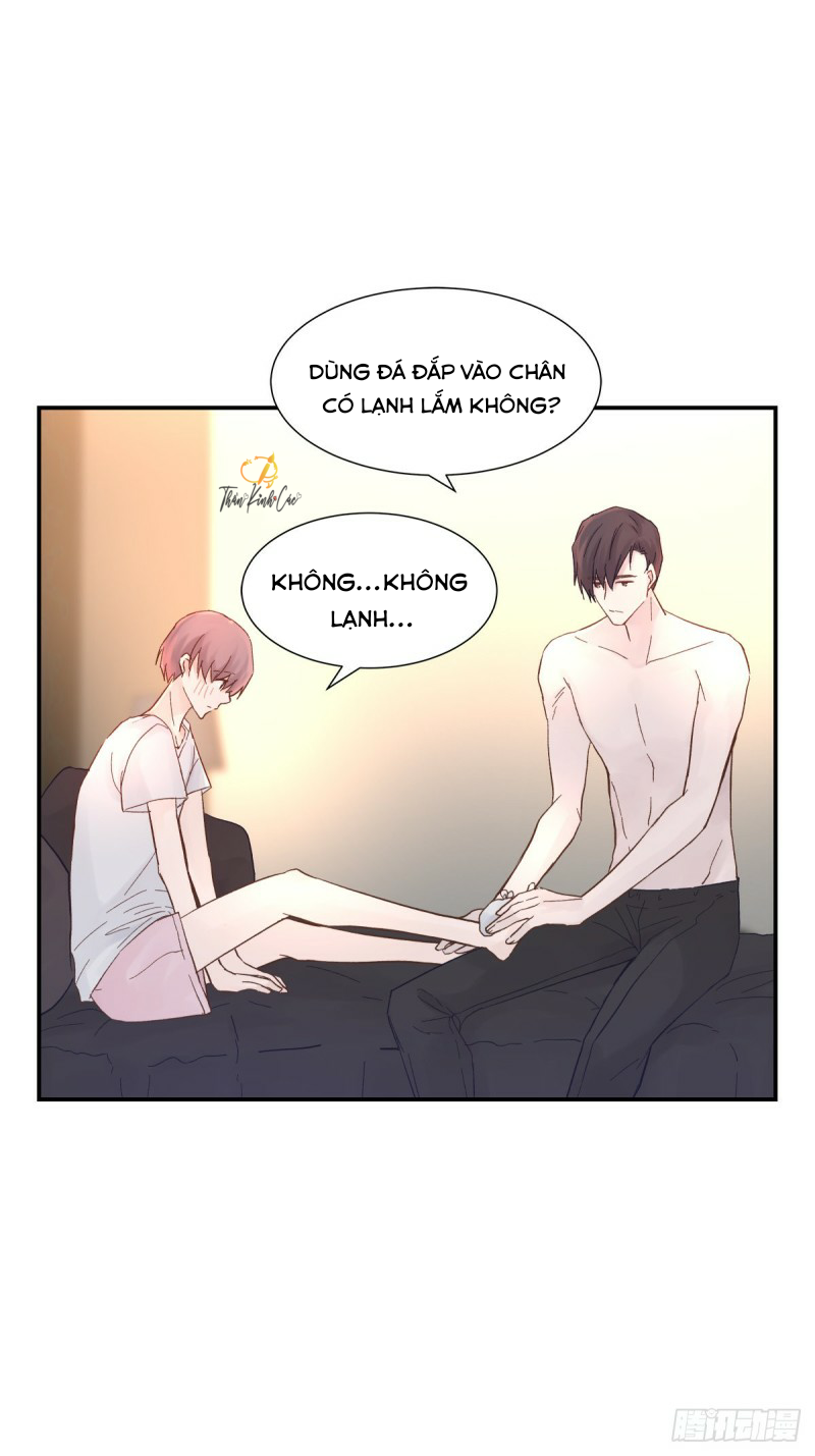mối tình đầu gian nan của chu thành nhất chapter 36 7