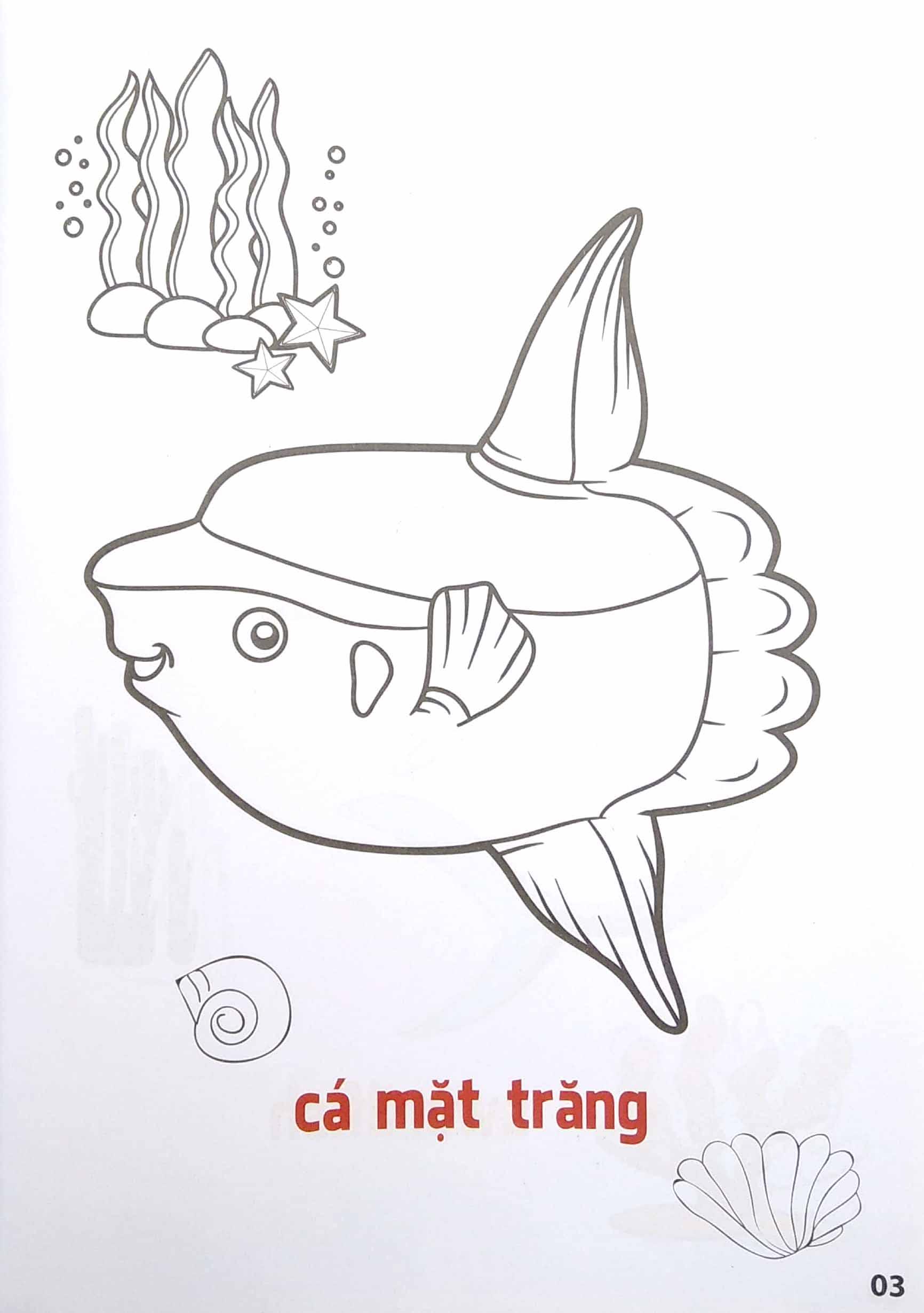 Tô Màu Động Vật Sống Dưới Nước - Song Ngữ Anh-Việt - Tập 2