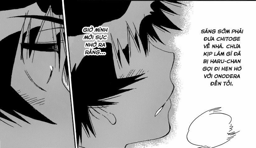 nisekoi - tình yêu giả tạo chapter 167 24