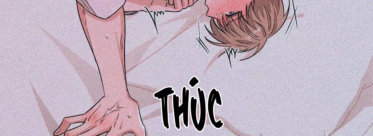 tái sinh [bl manhwa] chapter 24 272