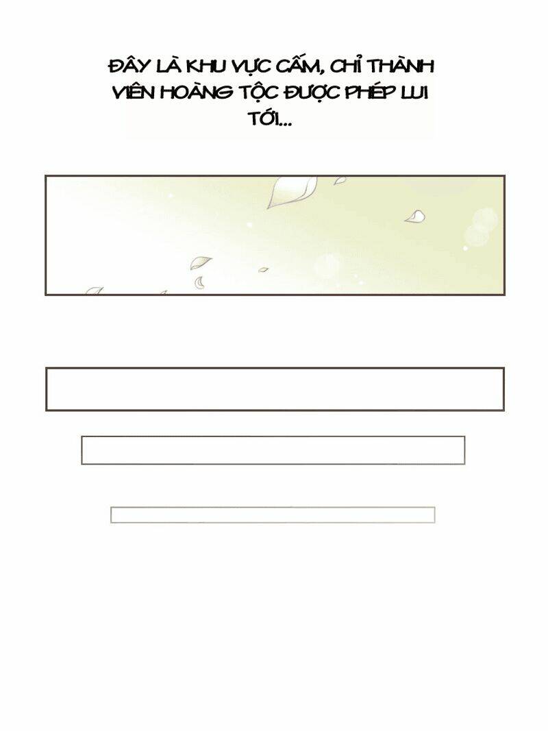 12 nights chapter 4 6