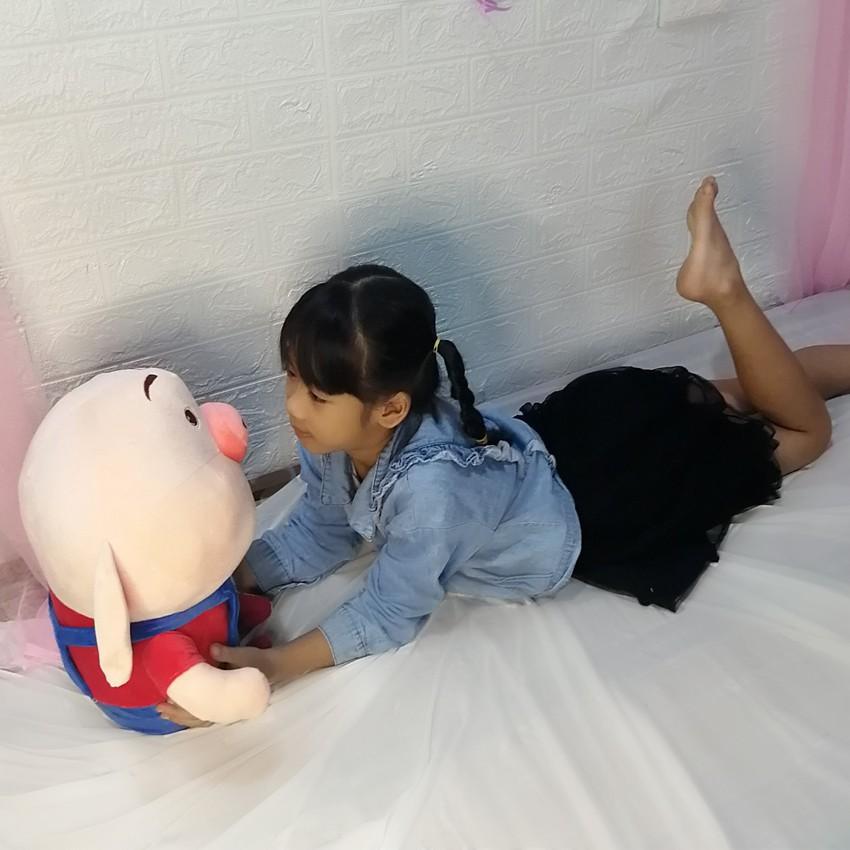 Gấu bông heo Lợn đáng yêu dùng để làm gối ôm, quà tặng người thương, đồ chơi cho bé hoặc vật trang trí