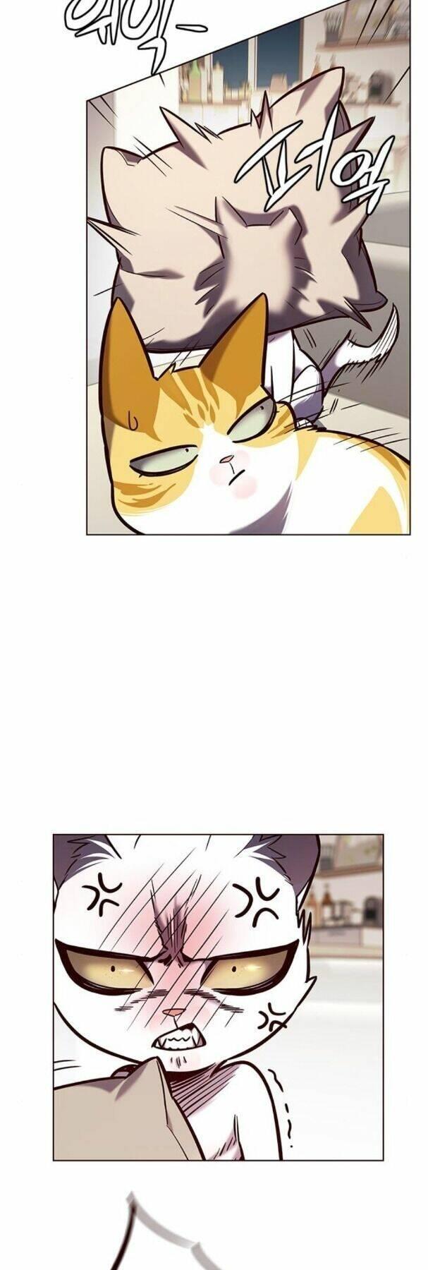 biến thân thành mèo chapter 190 2
