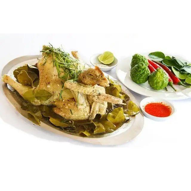 Cây Chúc - Cây chanh ăn lá + Tặng phân bón cho cây