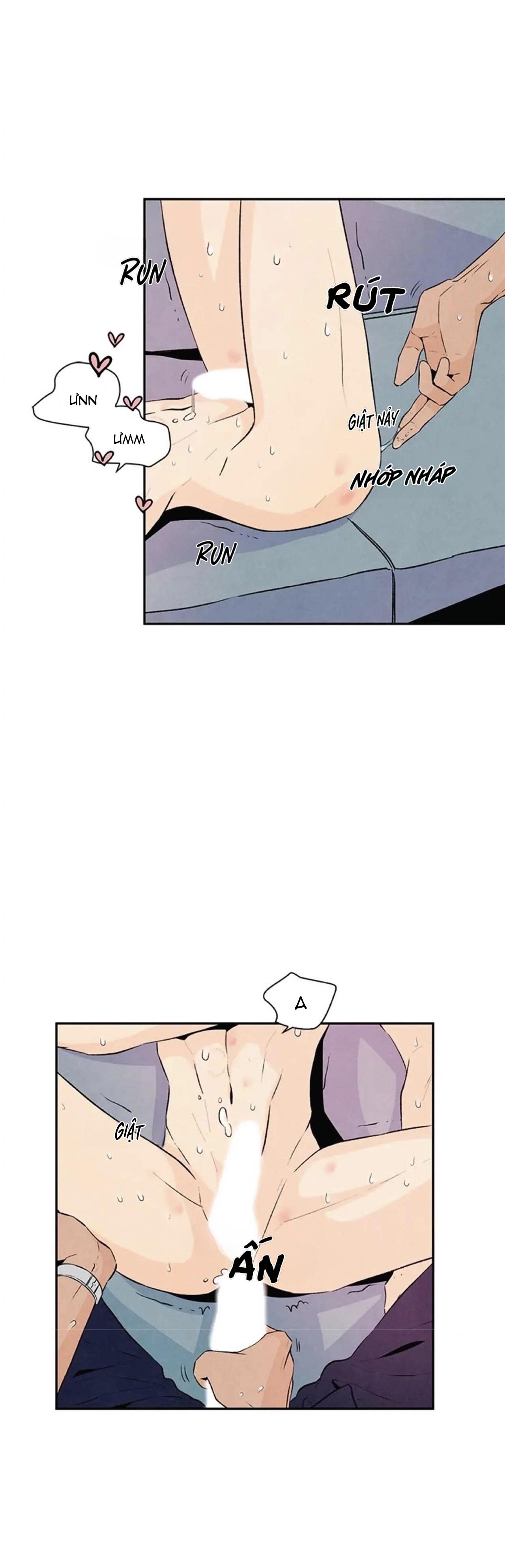 bona sort chapter 20 4