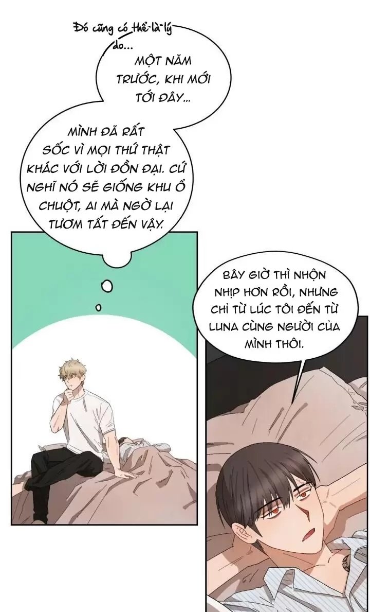 liveta chapter 22 41