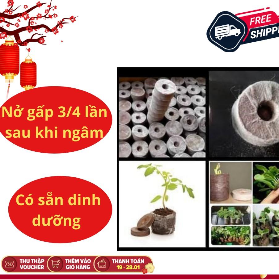 Set 100 viên nén ươm hạt xơ dừa