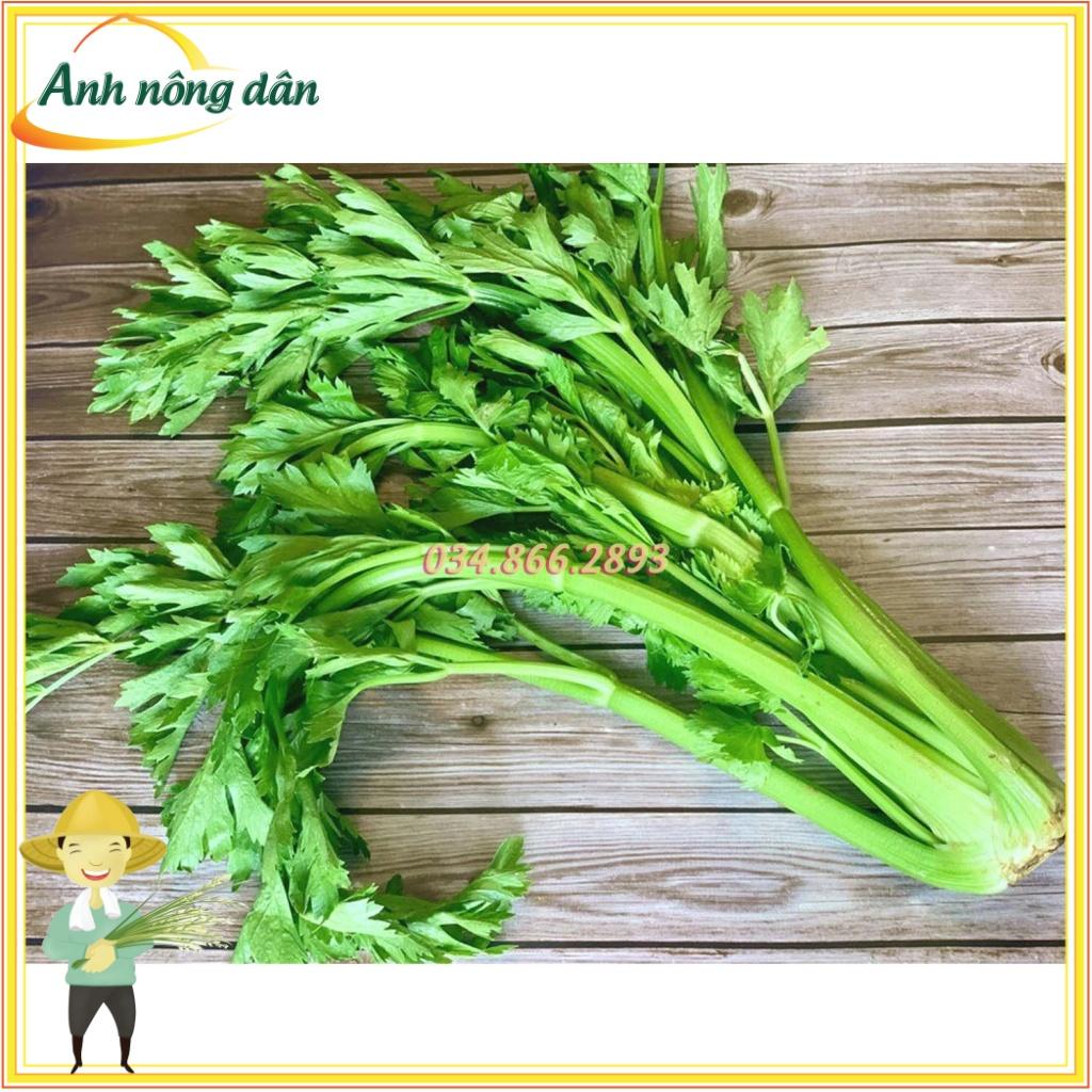 Gói 10g Hạt giống rau cần tây cao sản kháng sâu bệnh - Anh nông dân chính hiệu