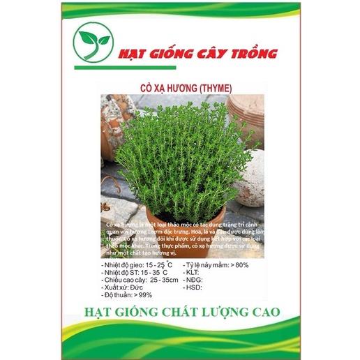 Hạt giống Cỏ Xạ Hương CT185 - Gói 100 hạt