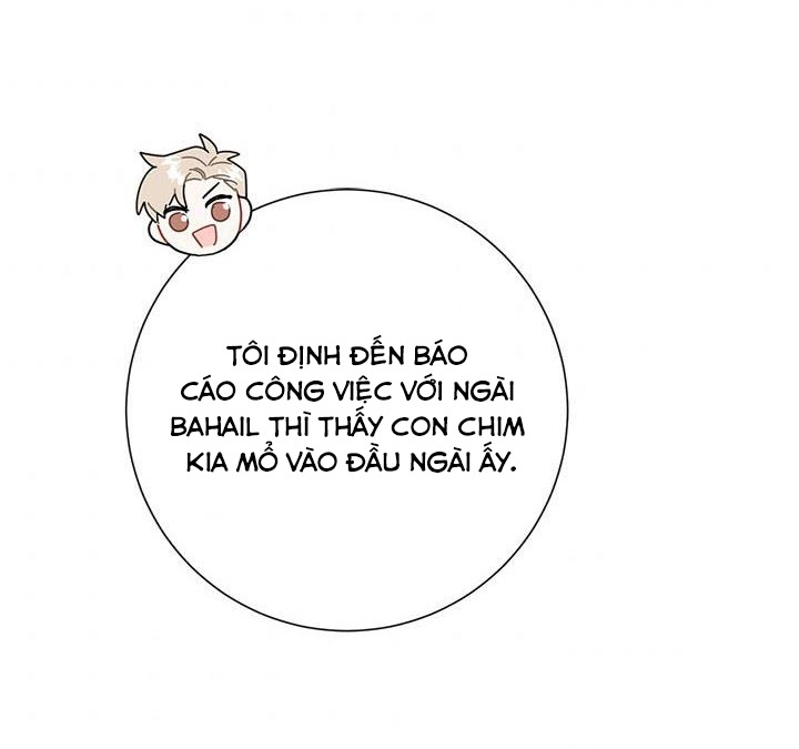 công chúa của loài chim chapter 43 72