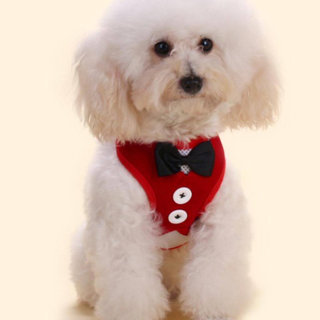 Adjustable Dog Leash Puppy Harness Vest with Handle for Small Dog ##1