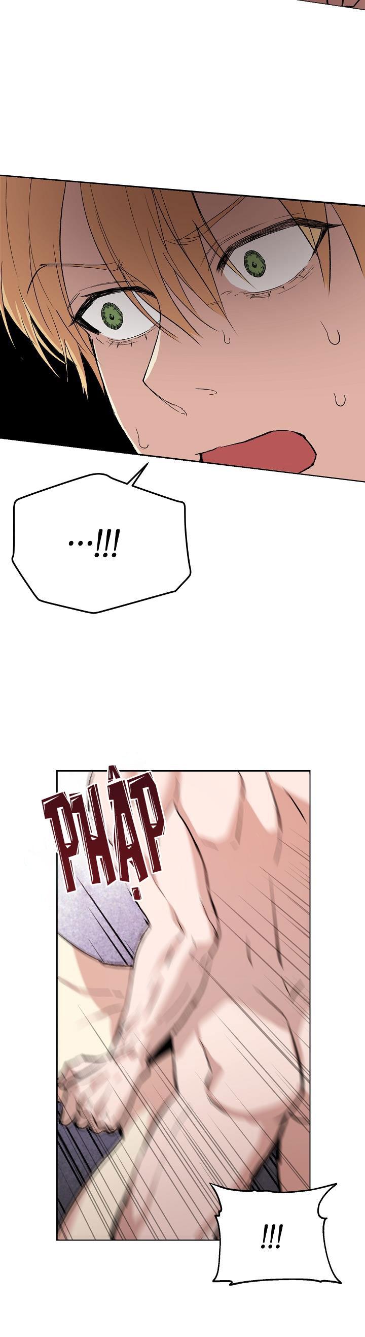 hai đất nước, đất nước của nô lệ chapter 6 33