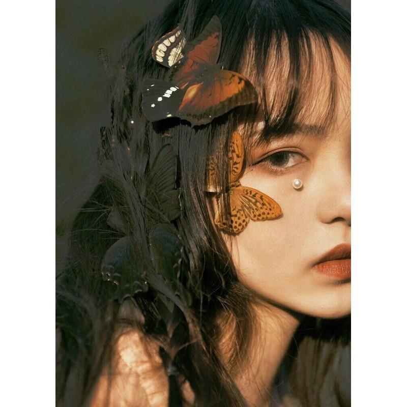 Bướm khô trang trí