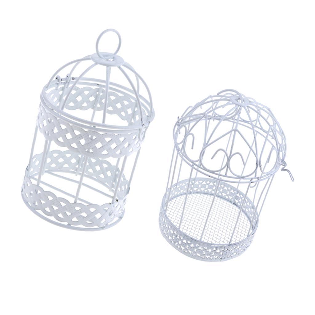 2Pcs Iron Birdcage Frame Wire Succulent Pot Metal Planter Iron Plant Basket