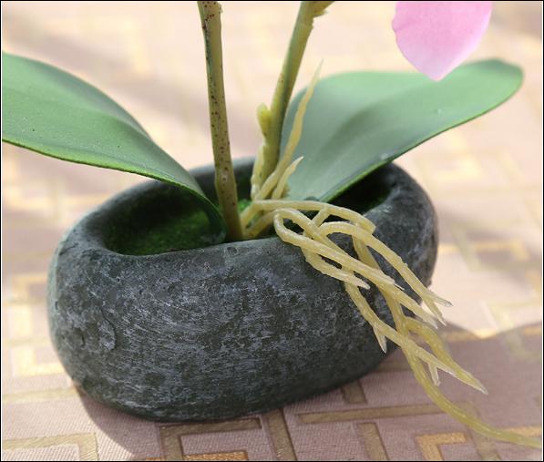 CHẬU HOA LAN GIẢ ĐỂ BÀN TRANG TRÍ BÀN LÀM VIỆC KHÔNG GIAN ĐỘC ĐÁO