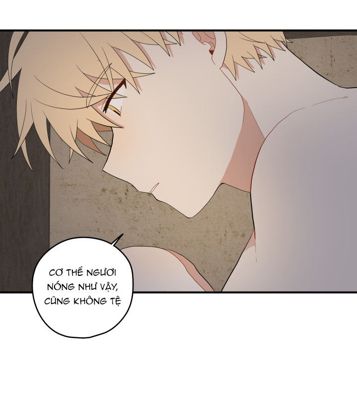 đường hoa liên kiều rơi chapter 25 56