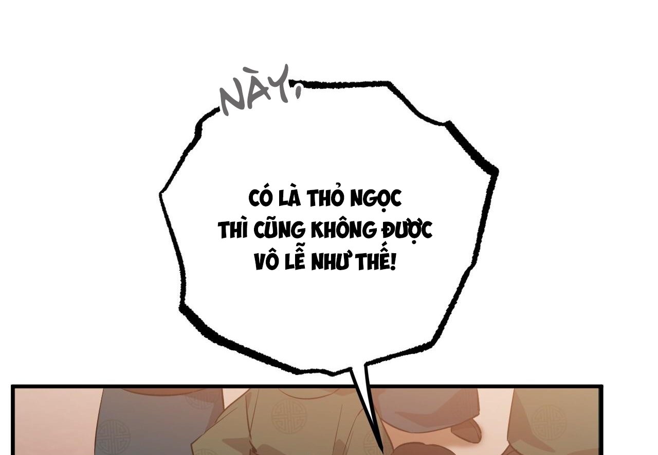 những chú thỏ của hapypy chapter 62 265