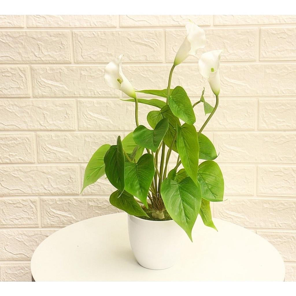 Chậu cây nhỏ trang trí nhà cửa, để tủ, cửa hàng, quán... Cây giả kèm chậu