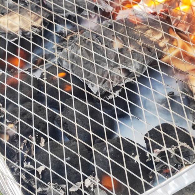 Lò nướng BBQ dùng một lần Du lịch Dã ngoại tại nhà Lò nướng than di động ngoài trời (TM05)