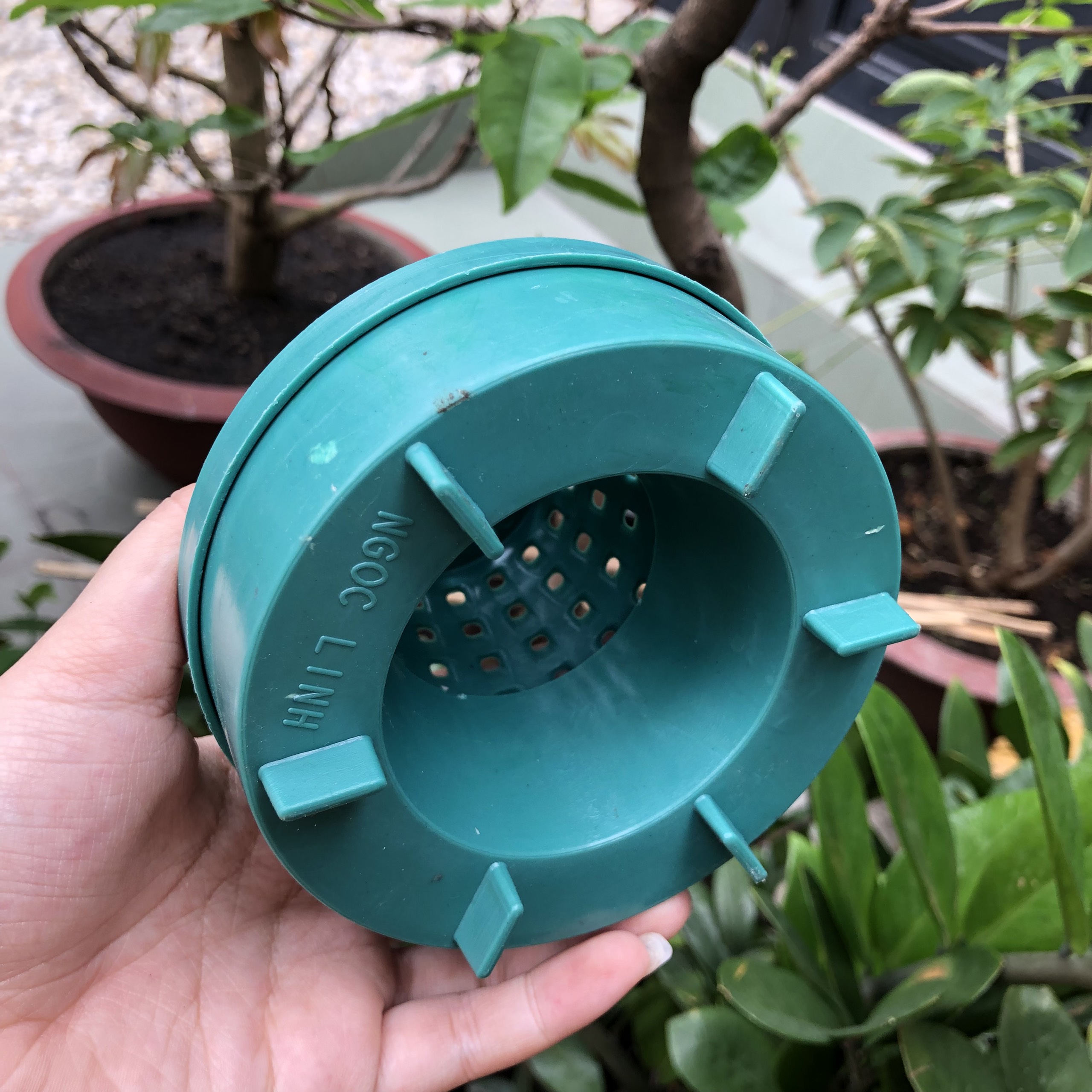 Cốc điều hòa sinh trưởng lan