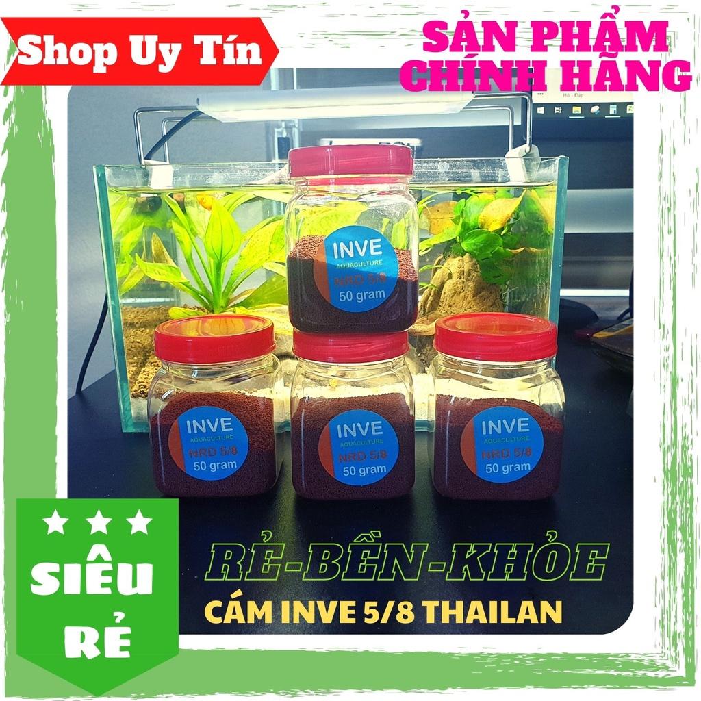 THỨC ĂN CÁ CÁM THÁI INVE CAO CẤP Cho Cá Beta, Guppy, Vàng,...
