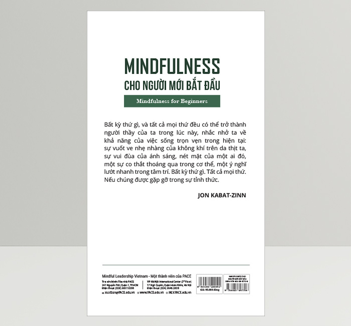 Mindfulness Cho Người Mới Bắt Đầu ( Tặng sổ tay xương rồng )