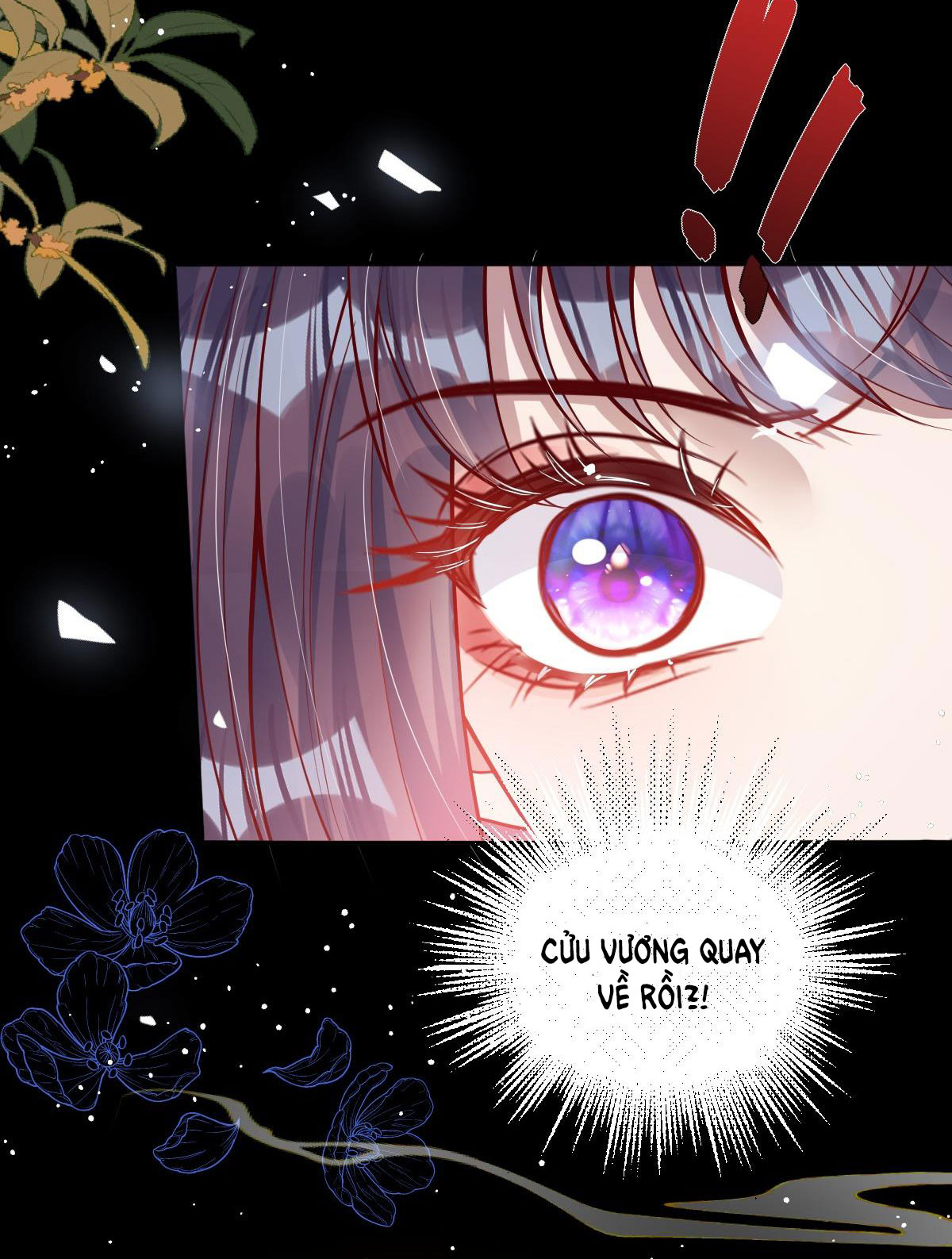 kiều dưỡng mỹ nhân điên chapter 13 16