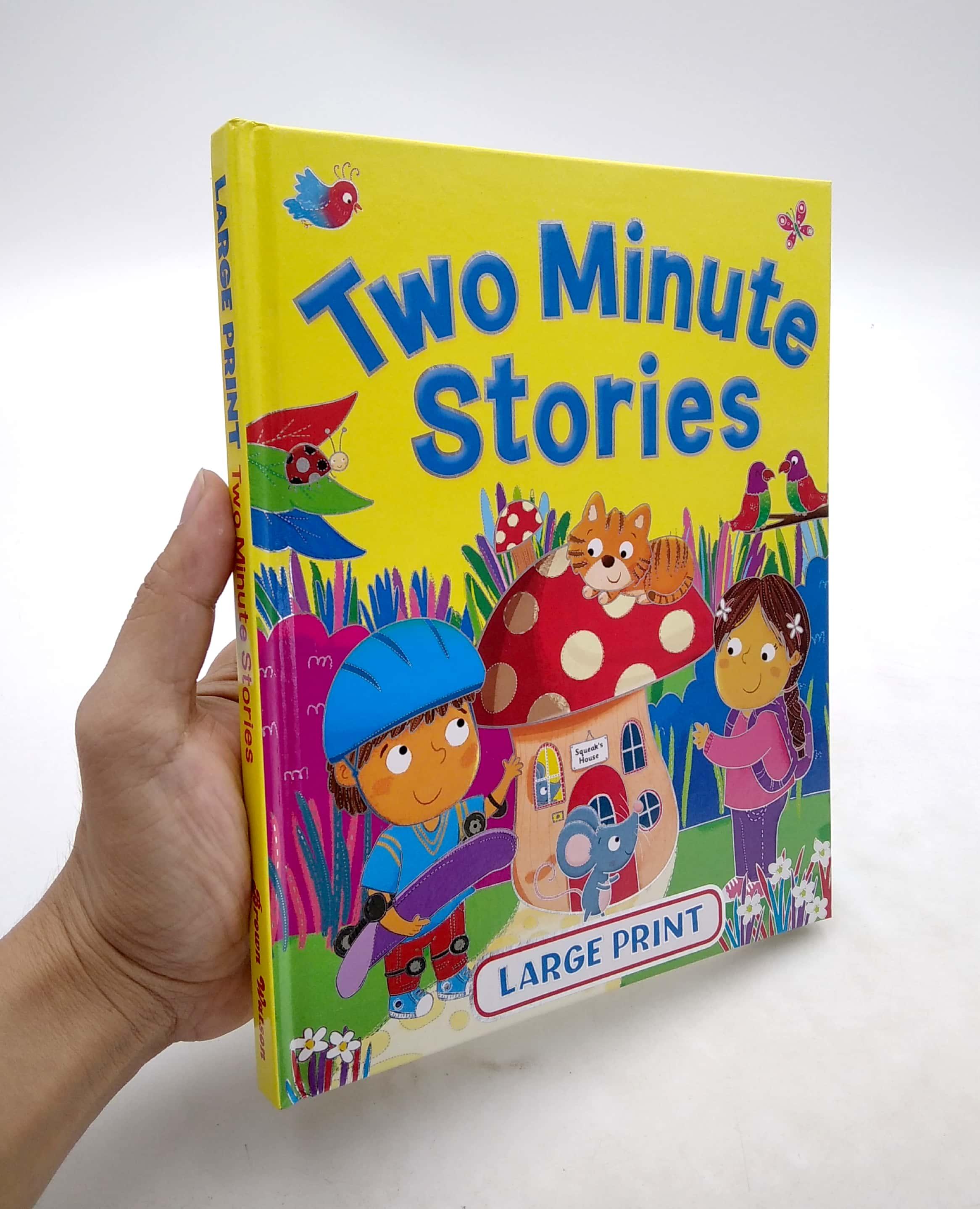 Large Print Two Minute Stories