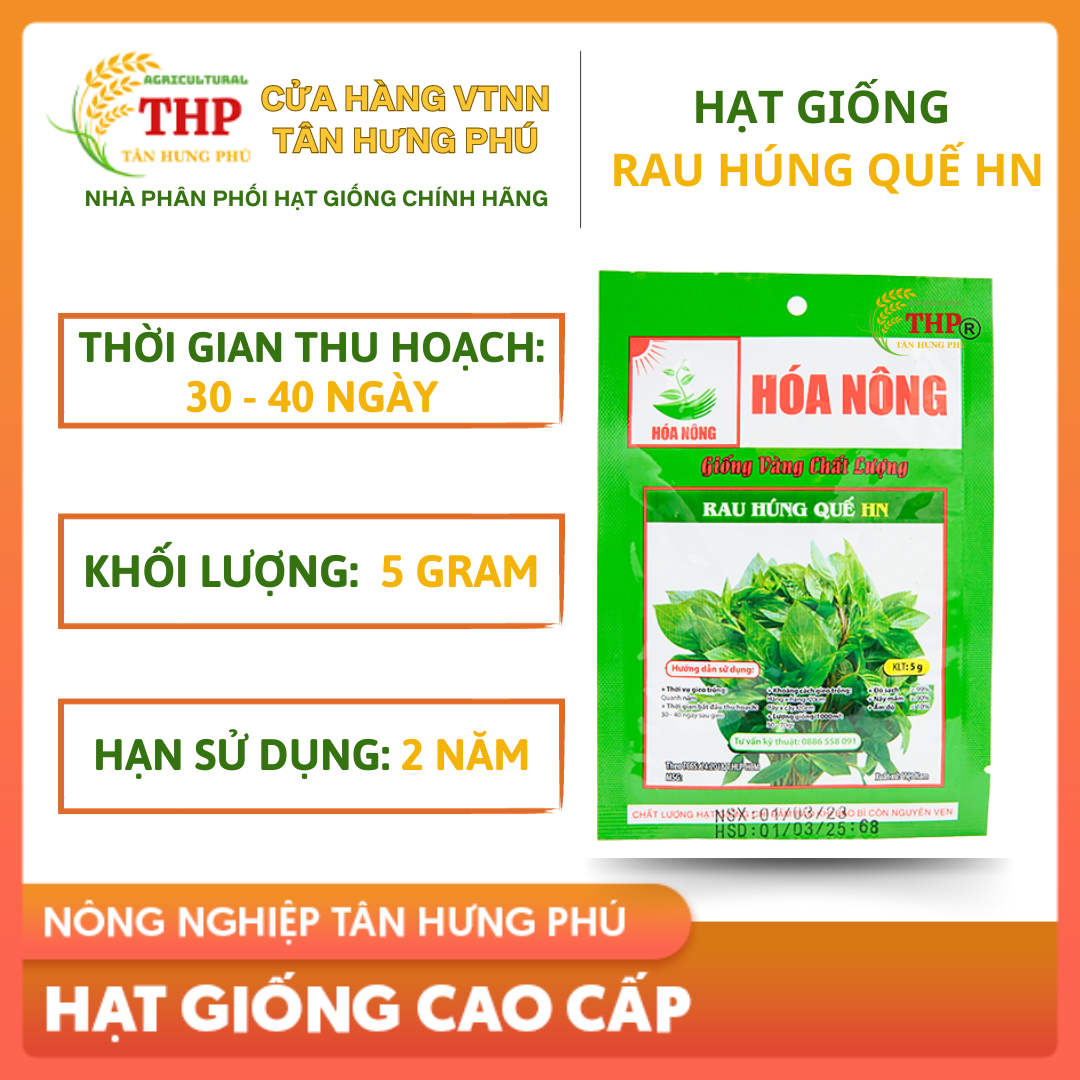 Hạt giống Rau Húng Quế HN | Hạt Giống | gói 5gr