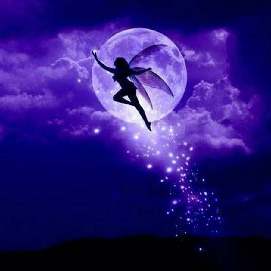 album natural wallpapers chapter 28 11