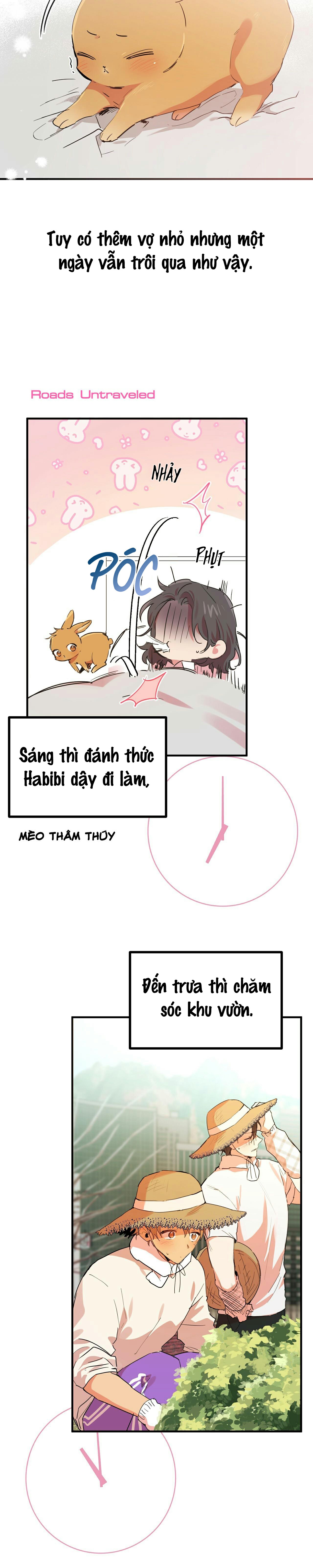 đàn thỏ của habibi chapter 11 1