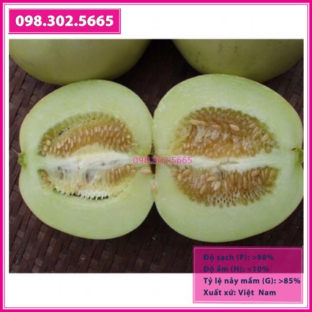 Hạt giống dưa lê siêu ngọt gói 1g