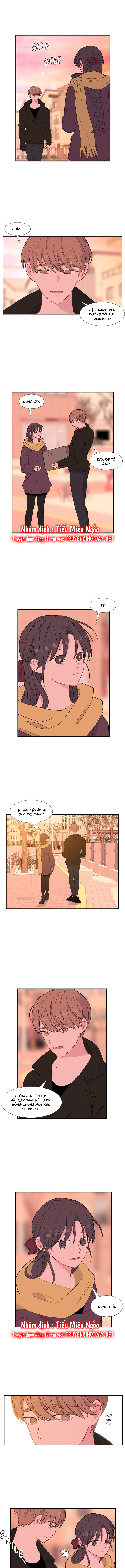 quay lại nhé chapter 95 7