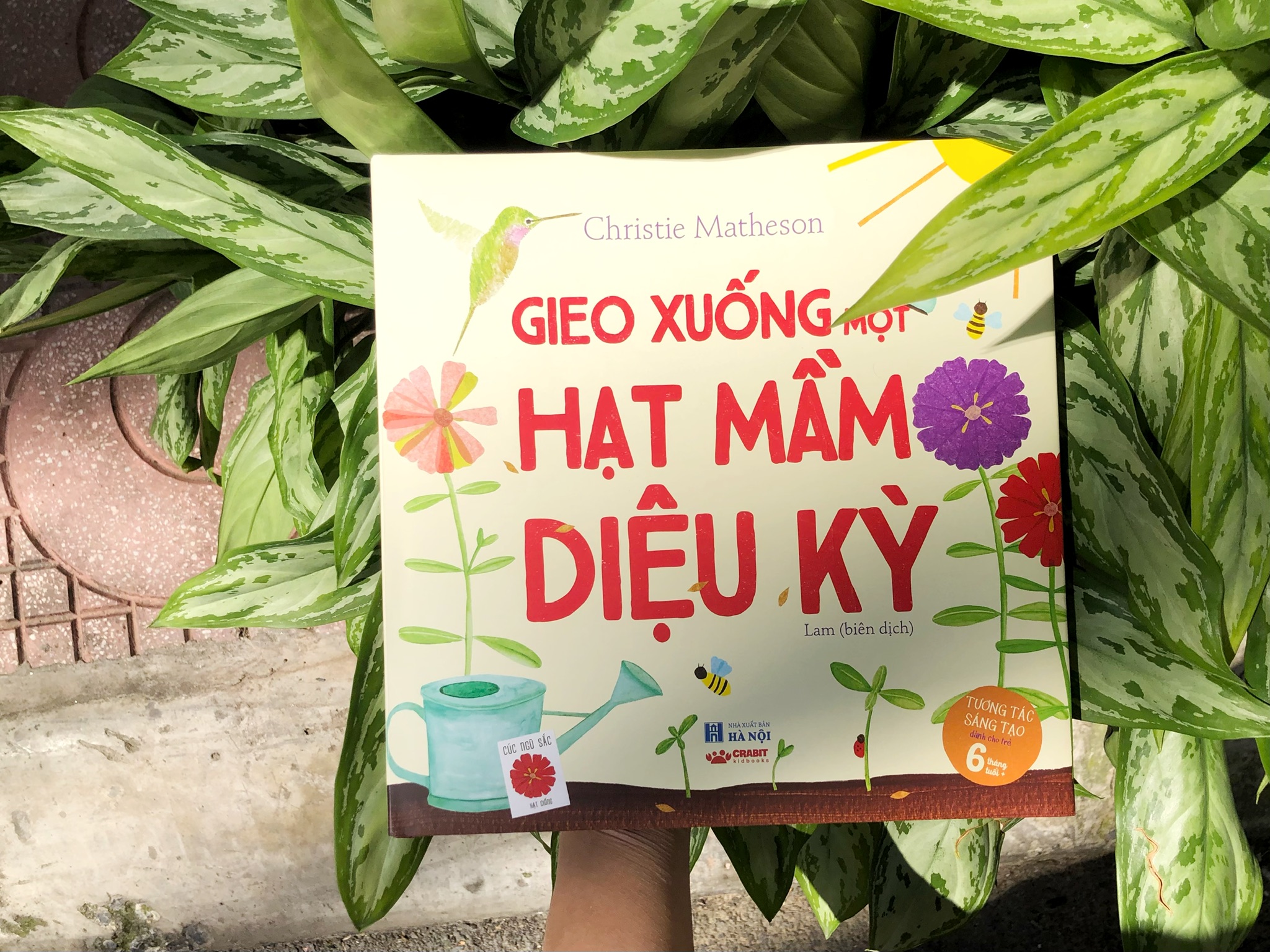 Gieo xuống một hạt mầm diệu kỳ - Sách tương tác - Crabit Kidbooks