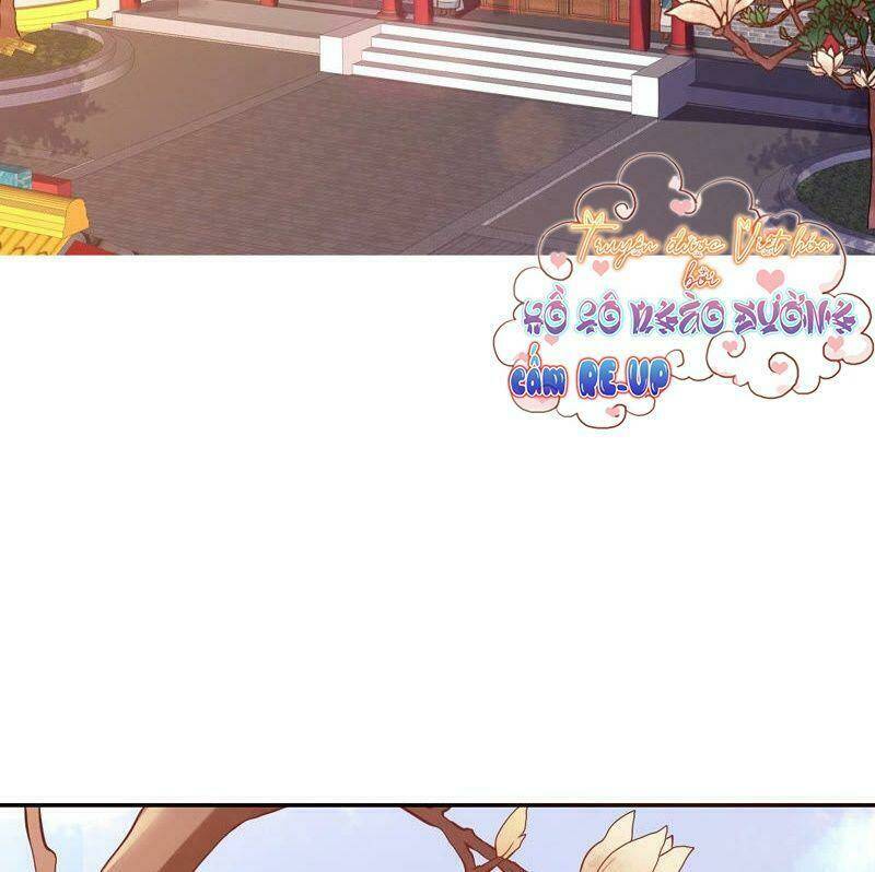 quận chúa vững vàng, thiết lập nhân vật không thể vỡ chapter 3 50
