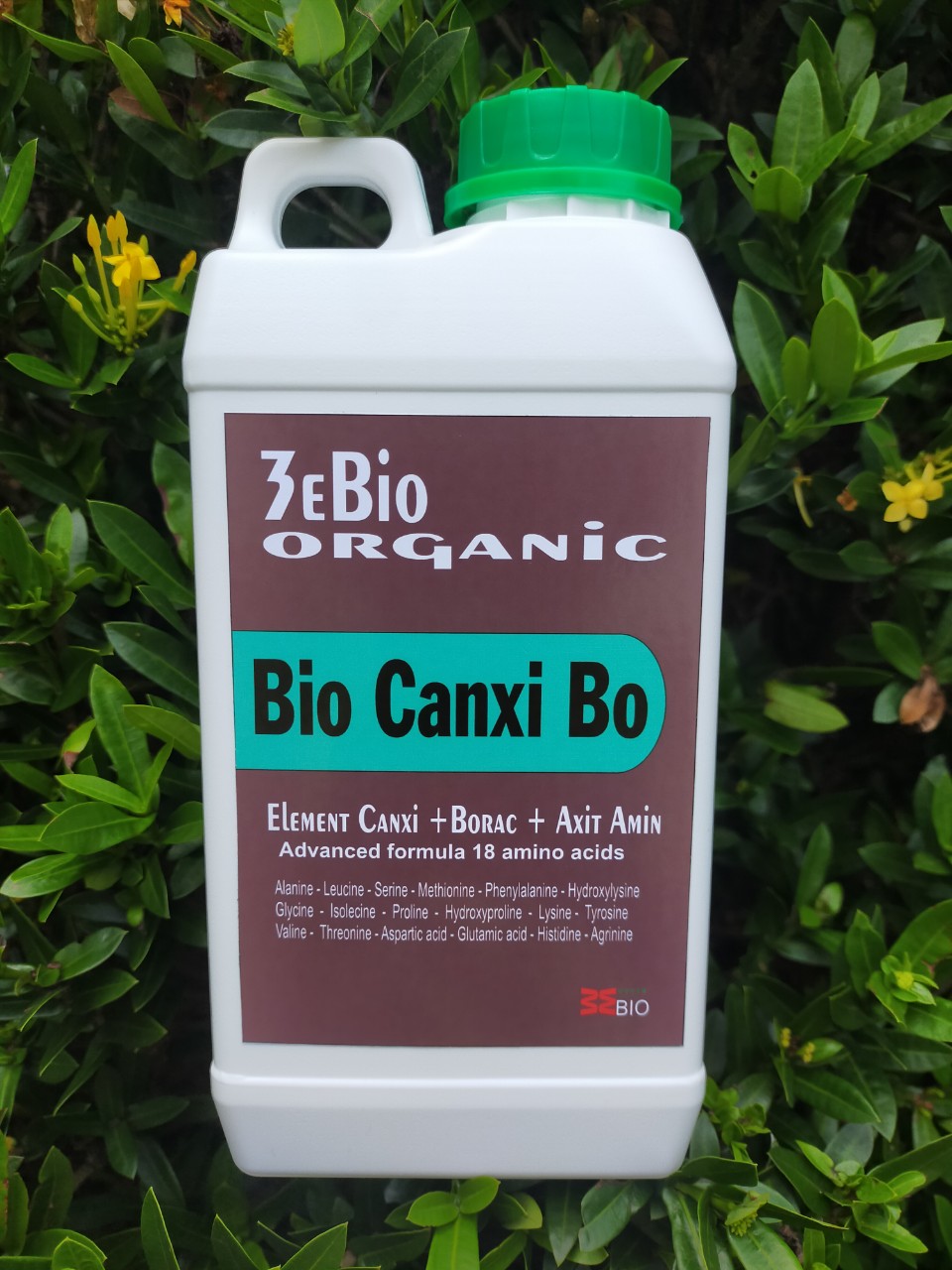 Vi lượng Canxi Bo chai 1 lít chống rụng trái nứt trái cây cứng khỏe BIO CANXI BO