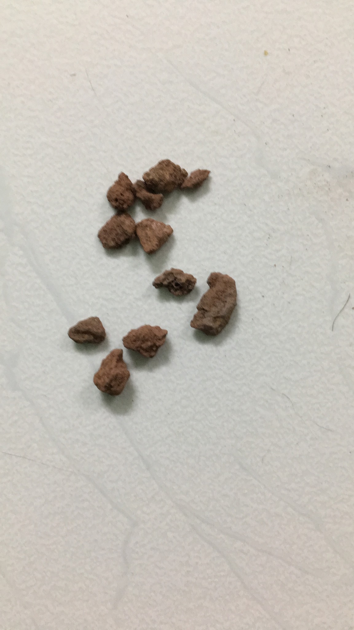 Giá thể sương rồng kiểng lá hồ thủy sinh đá nham thạch 1kg