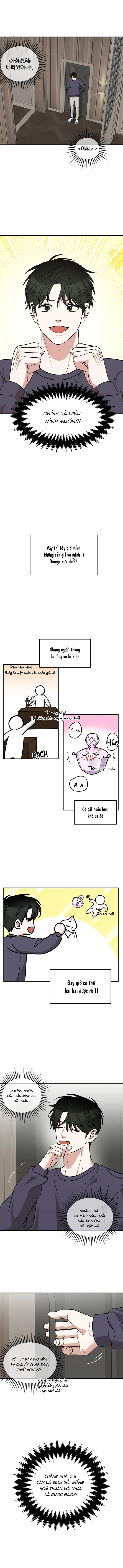 tôi không phải beta đâu nhé! chapter 7 7