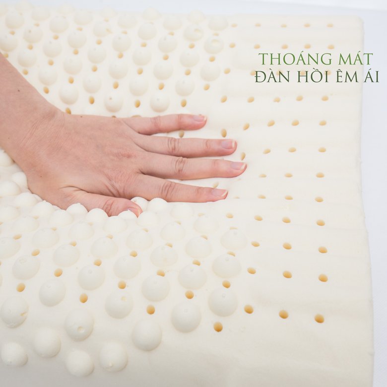 Gối cao su Massage Vạn Thành