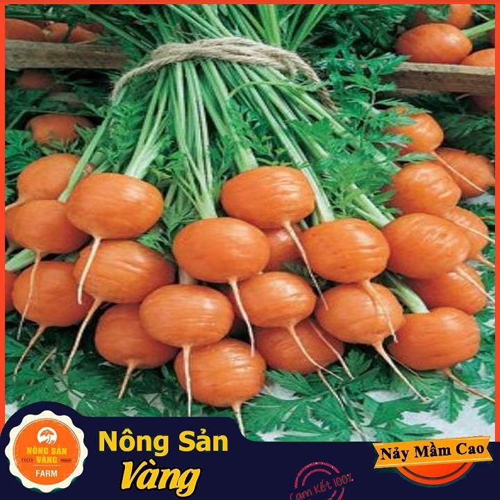 Hạt giống Cà Rốt Củ Tròn ( 0,5 Gram )
