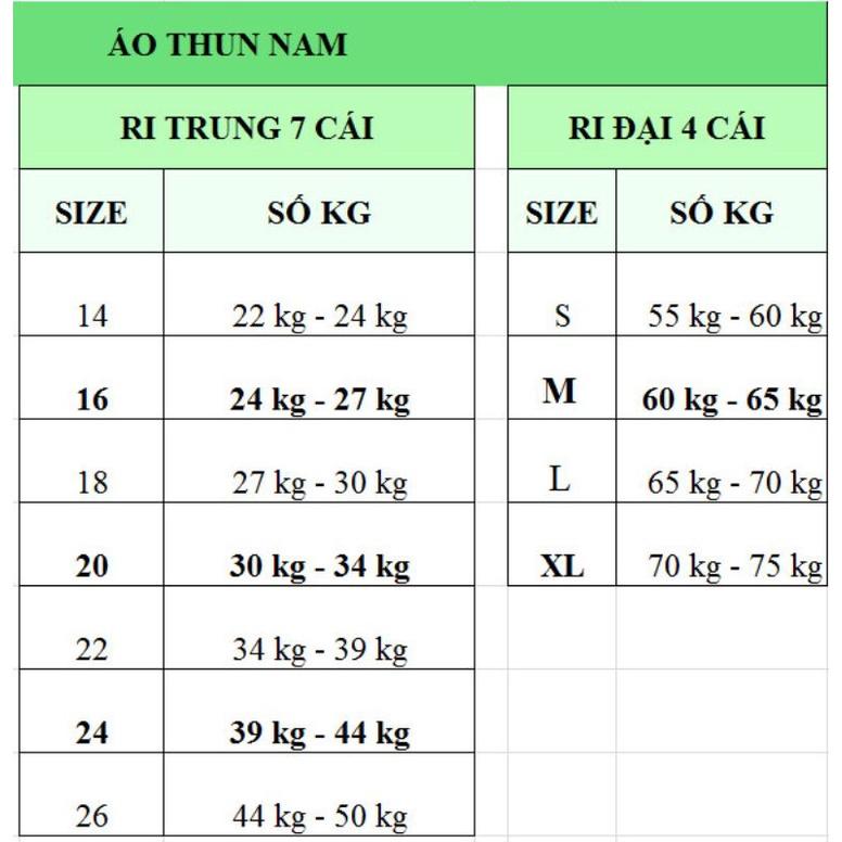 ÁO THUN VECO BÉ TRAI 20-50KG