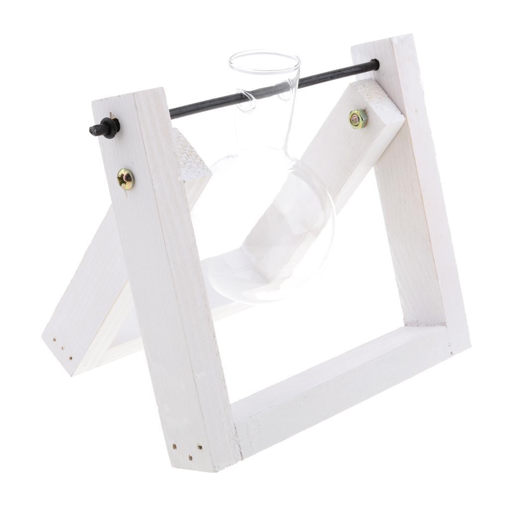 Vintage Glass Tabletop Hydroponic Flower Vase